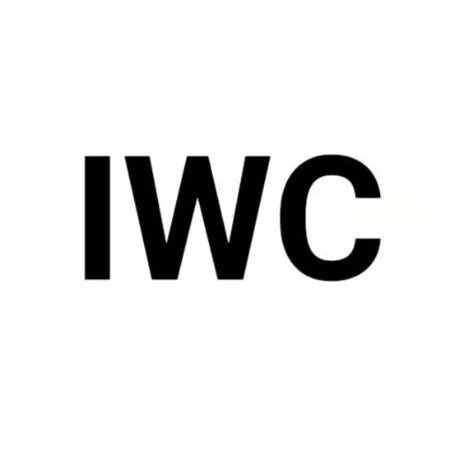 ساعت آی دبلیو سی iwc